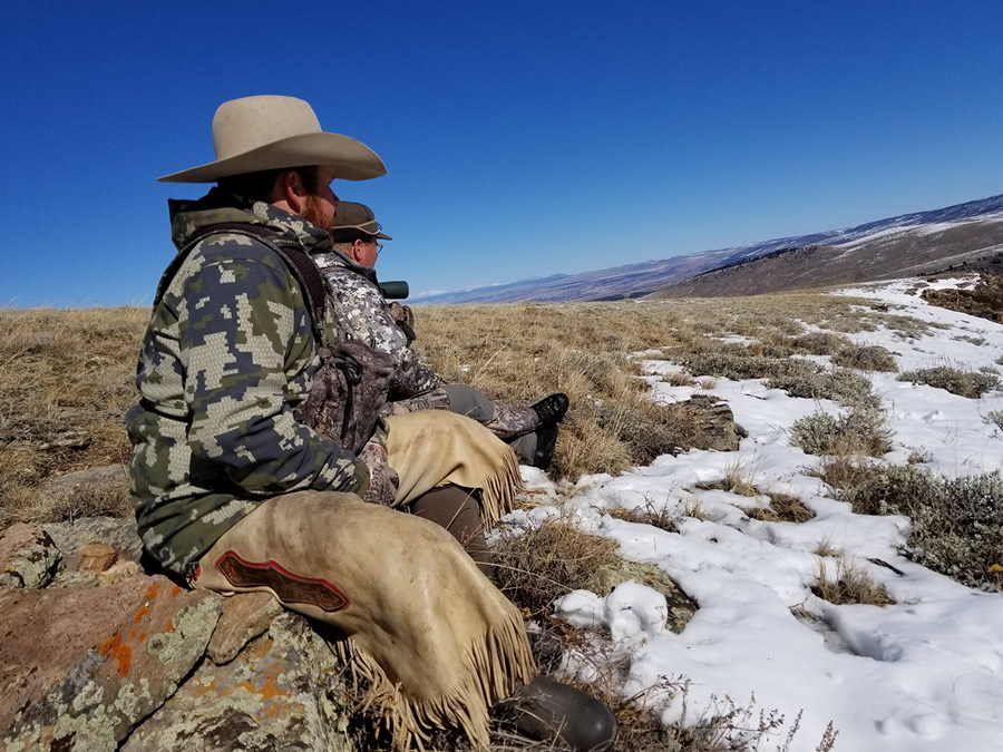 Cow Elk Hunts Wyoming 1