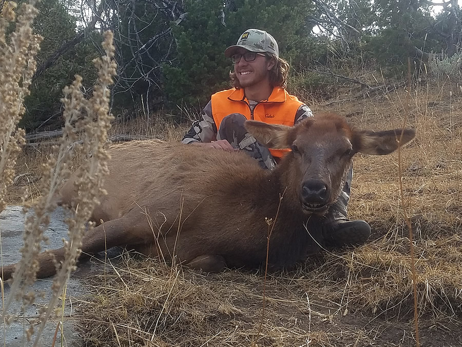 Cow Elk Hunts Wyoming 7