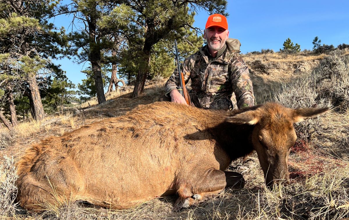Cow Elk Hunt at Camp Envy
