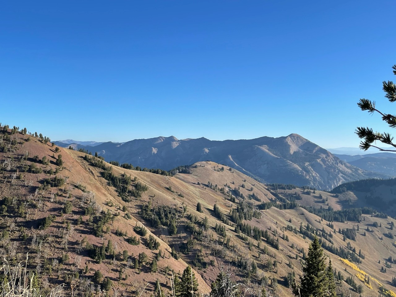 views from the top of the mountain during hunting season