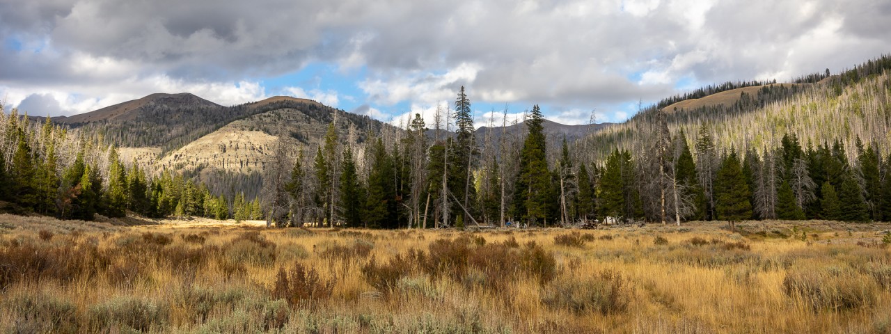 a beautiful Wyoming wilderness landscape