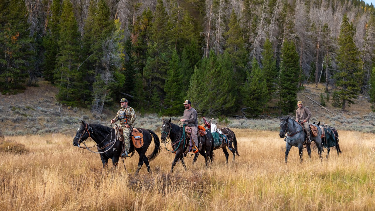 men riding horses back into camp after successfully hunting elk in wyoming