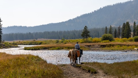 Rifle Season Meets the Rut: Hunting During Wyoming’s Peak Rut