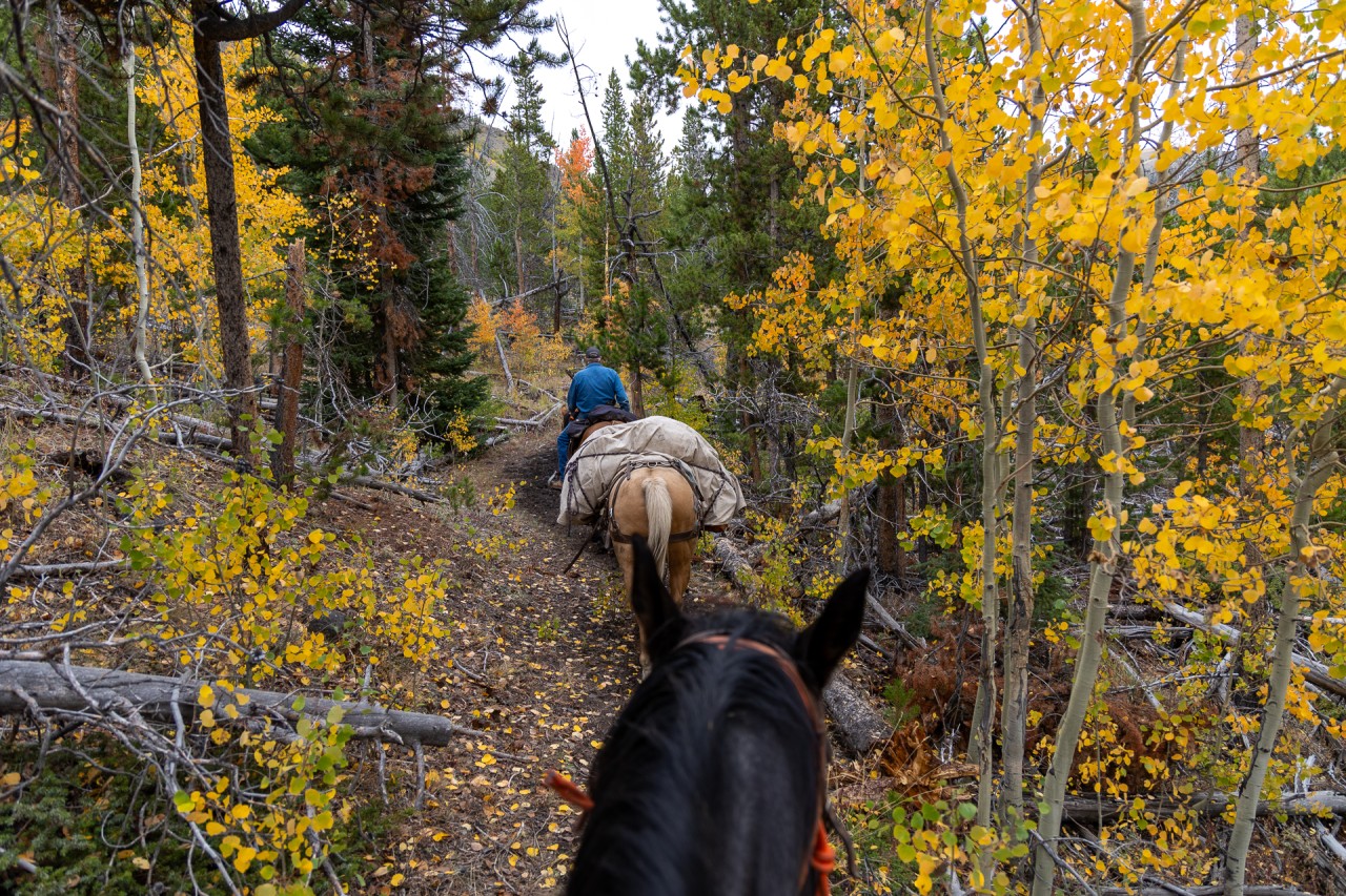riding horseback through Wyoming wilderness to hunting camp