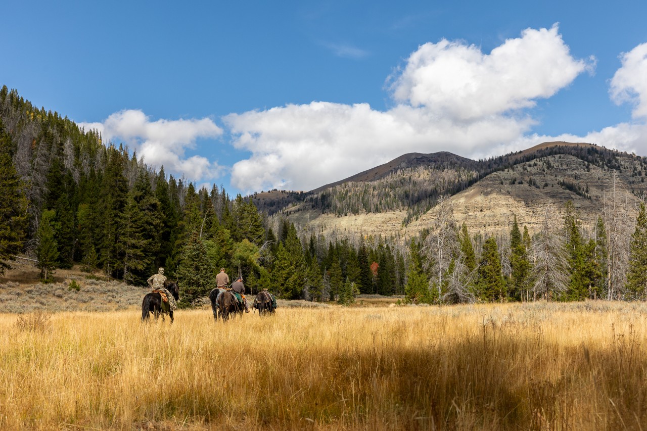 group of men ride horsebak