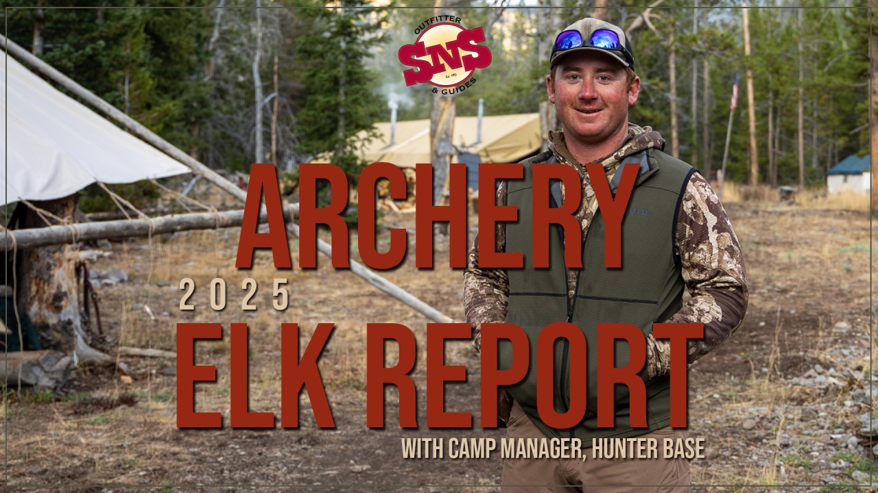 ArcheryTHUMB_20260120-064105_1