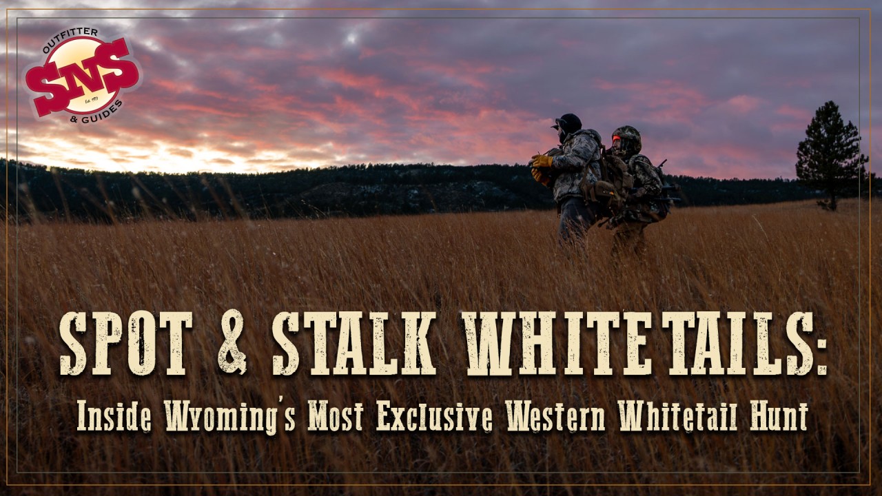 spot-and-stalk-whitetail-hunting-sns
