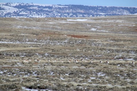 Winter Update from Wyoming