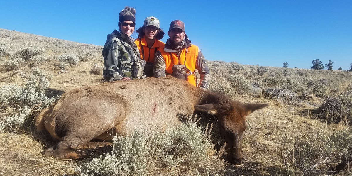 sns-cow-elk-hunts