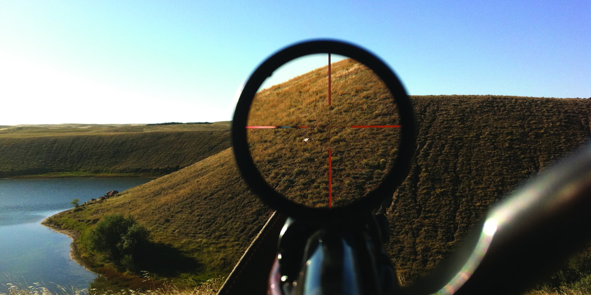 Why 2026 Is Shaping Up to Be a Standout Year for Wyoming Antelope