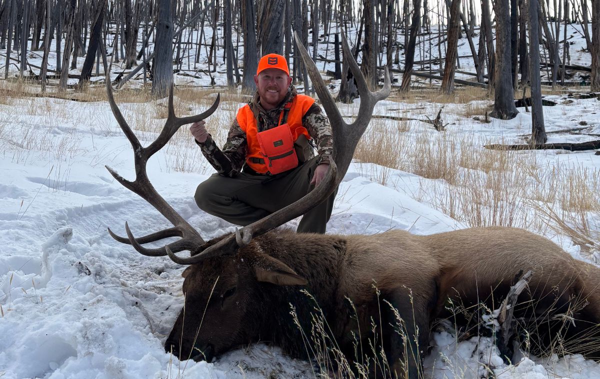 Wyoming Wilderness Elk Hunt with SNS Outfitter & Guides