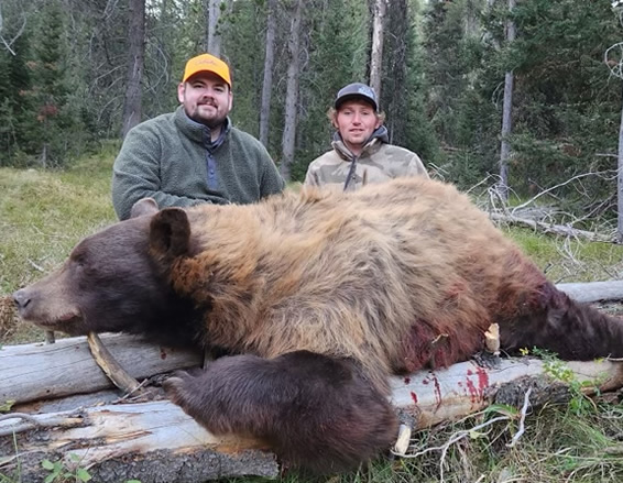 Wyoming Bear Hunts
