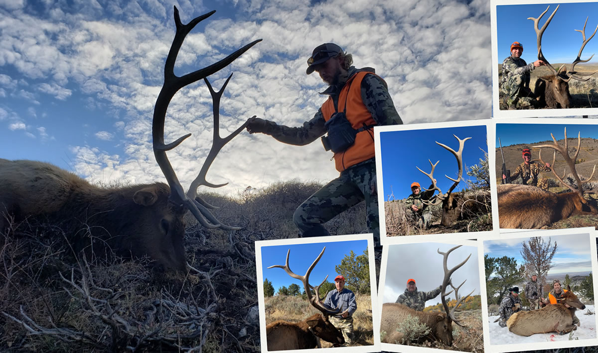 SNS Hunt 3: Bull or cow elk and mule deer hunts at Orchard Camp Wyoming