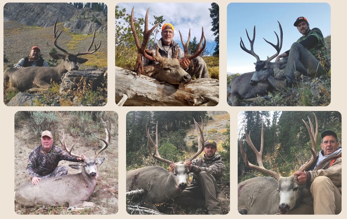 Mule Deer Hunt with SNS Outfitter & Guides