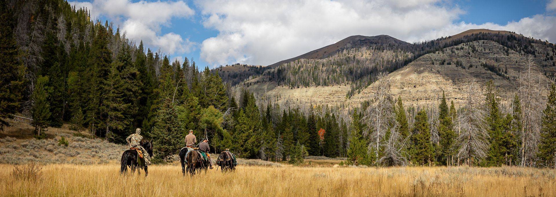 Wyoming Trophy Antelope Hunting