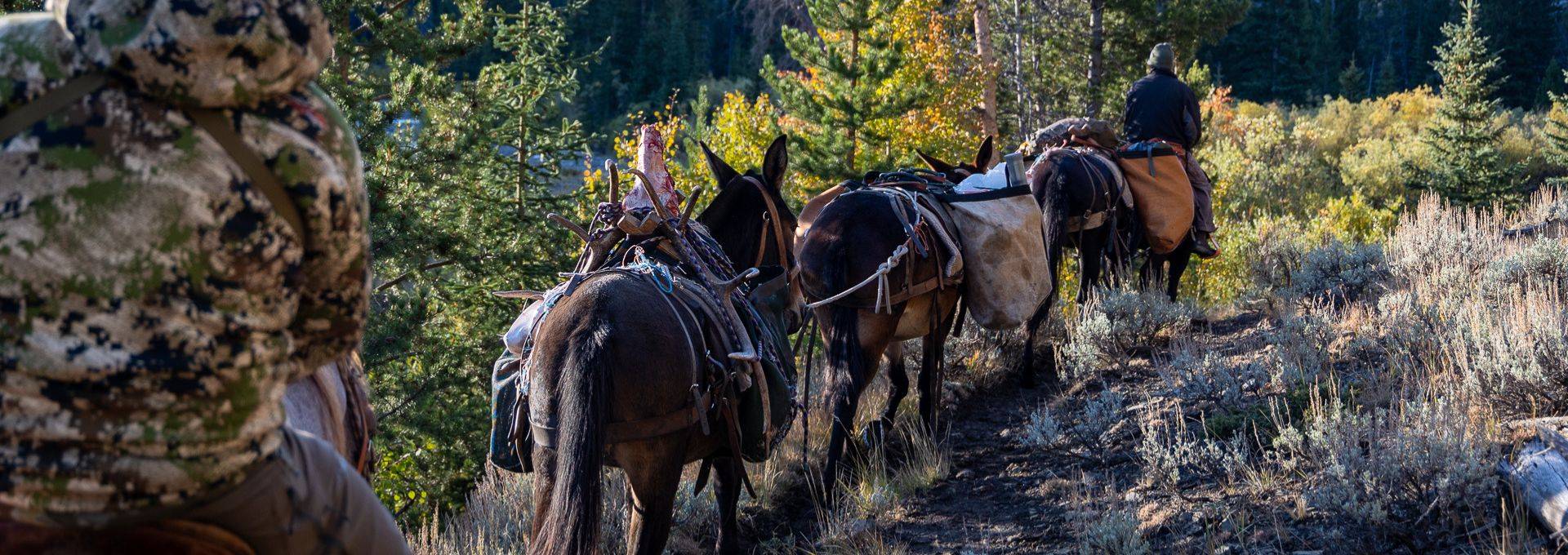 Permits & Affiliations