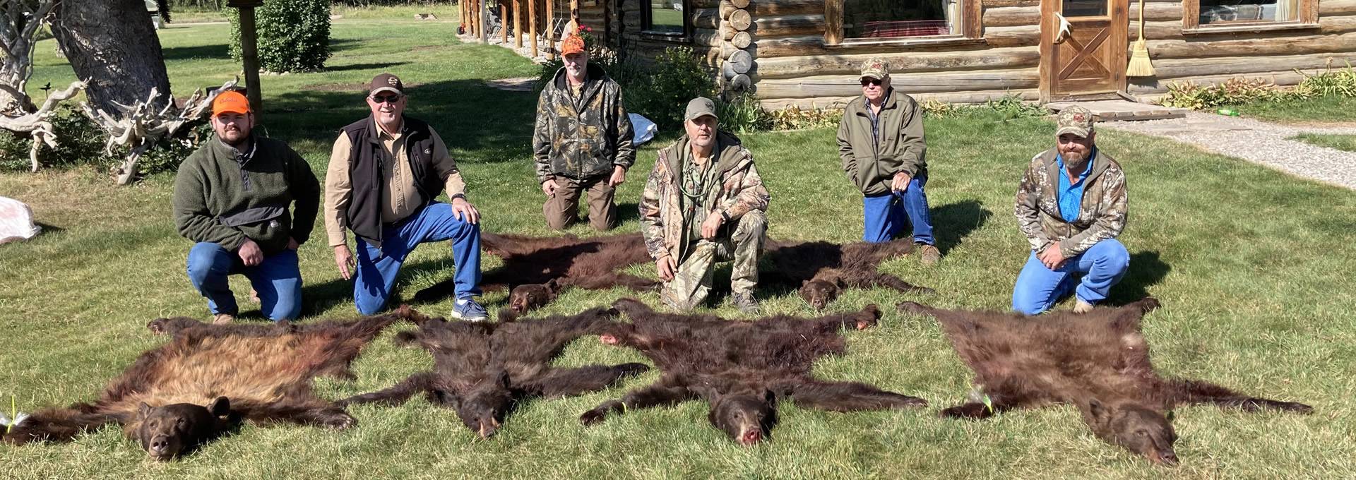 Black Bear Hunt In Wyoming