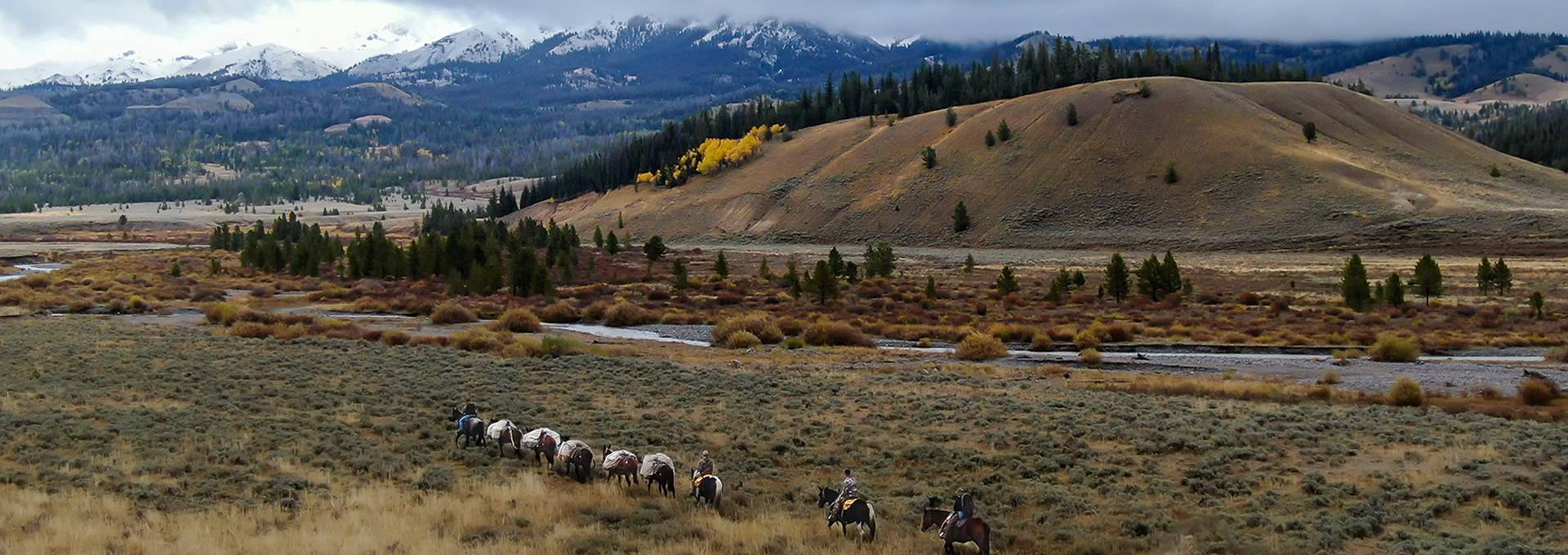 Mule Deer, Pronghorn Antelope Or Elk Hunt In Wyoming