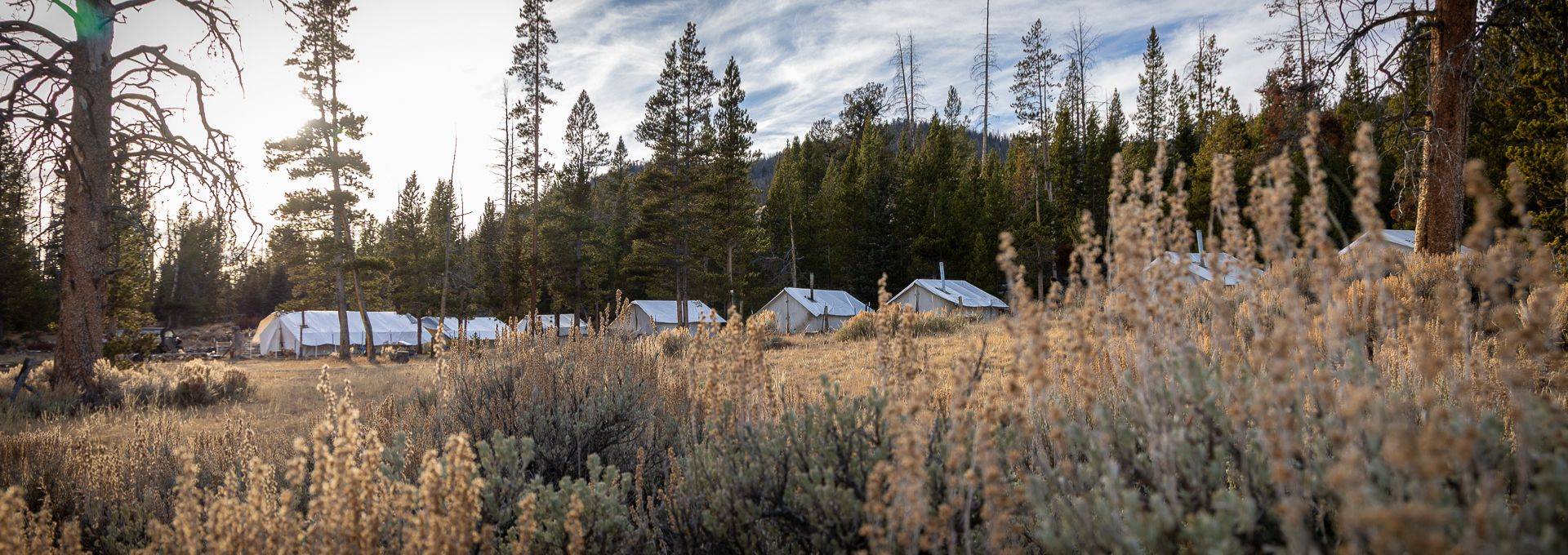 Book a Hunt with SNS Outfitters