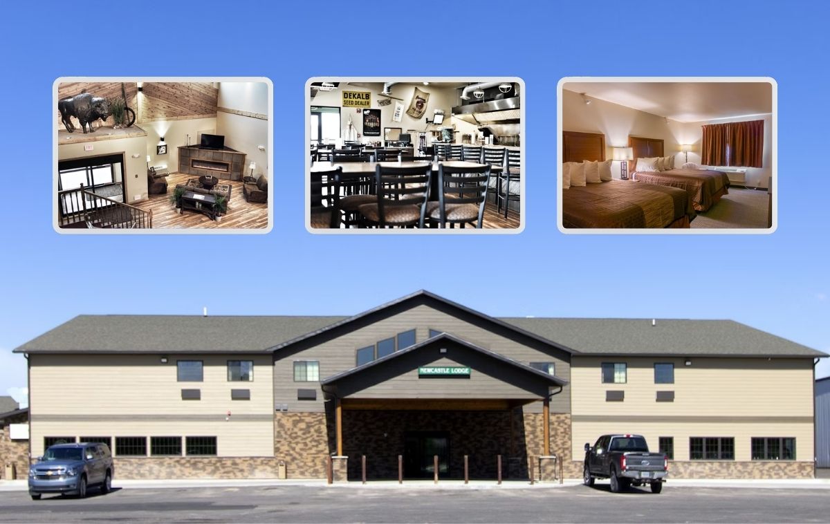 Whitetail Deer Hunt near Newcastle, Wyoming