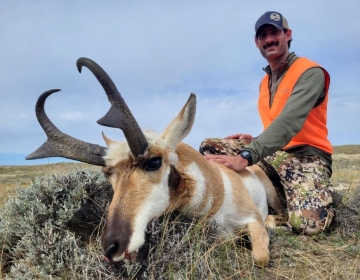 sns-wyoming-pronghorn-antelope-2025