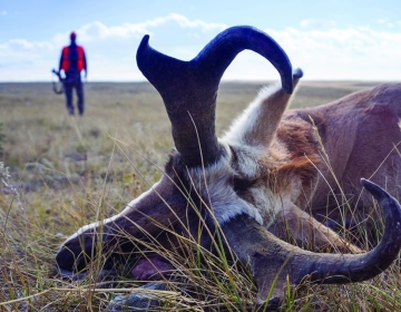 Hunt 5 Mule Deer Sns 2018 4