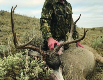 Hunt 5 Mule Deer Sns 2019 2