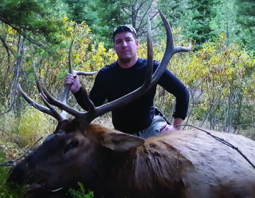 Hunt 8 Bull Elk Sns 2019 4