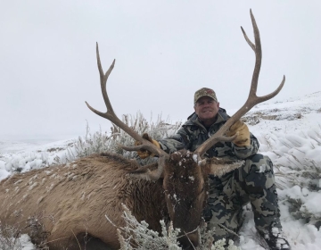 Sns Outfitters Bull Elk Wyoming 2019