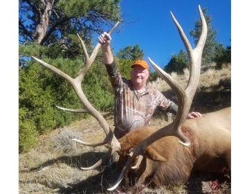 Sns Outfitters Bull Elk Wyoming 2020