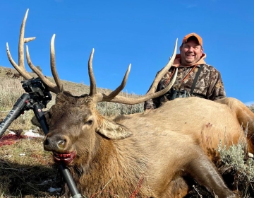 Sns Wyoming Wilderness Elk 2025