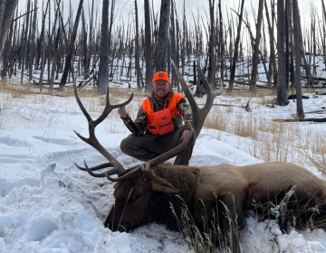Sns Wyoming Wilderness Elk 2026
